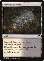 Scoured Barrens (NEO-274) - common - Foil