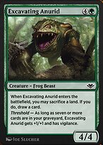 Excavating Anurid (J21-568) - common