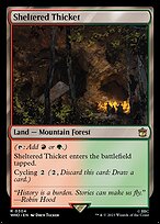Sheltered Thicket (WHO-304) - rare