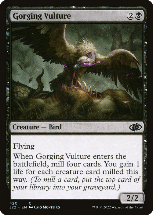 Gorging Vulture (J22-420) - common