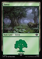 Forest (LTR-271) - common