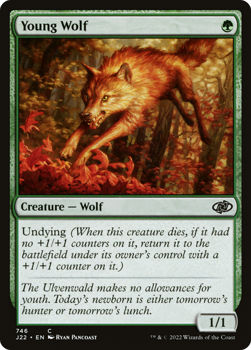 Young Wolf (J22-746) - common