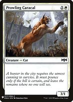 Prowling Caracal (LIST-RNA-17) - common