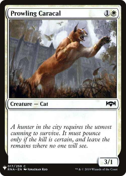 Prowling Caracal (LIST-RNA-17) - common