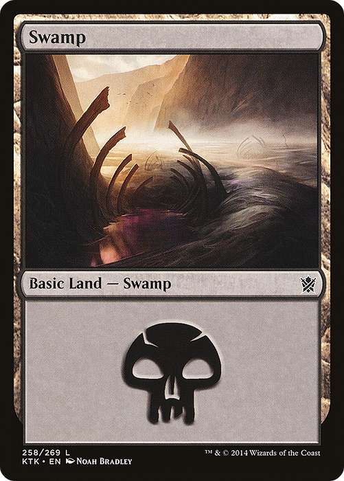 Swamp (KTK-258) - common