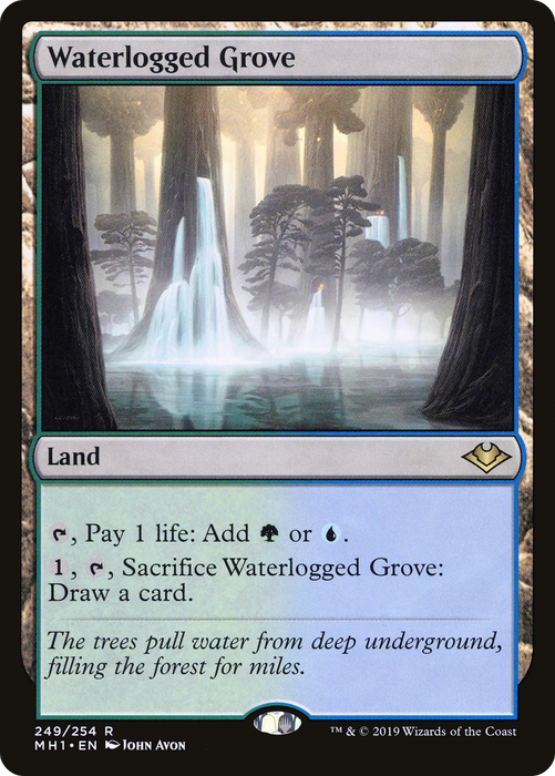 Waterlogged Grove (MH1-249) - rare - Foil