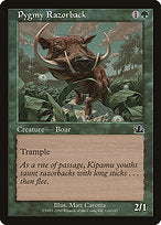 Pygmy Razorback (PCY-120) - common