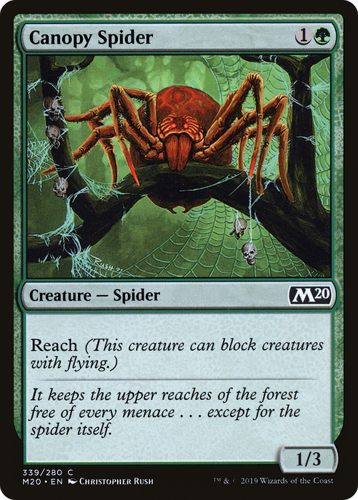Canopy Spider (M20-339) - common