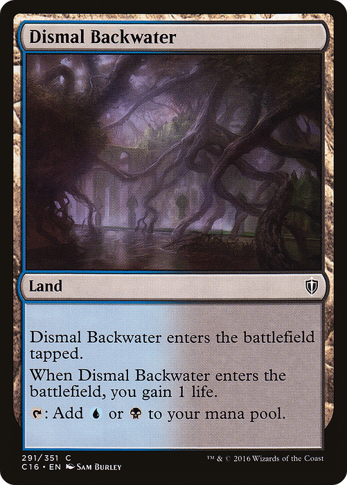 Dismal Backwater (C16-291) - common