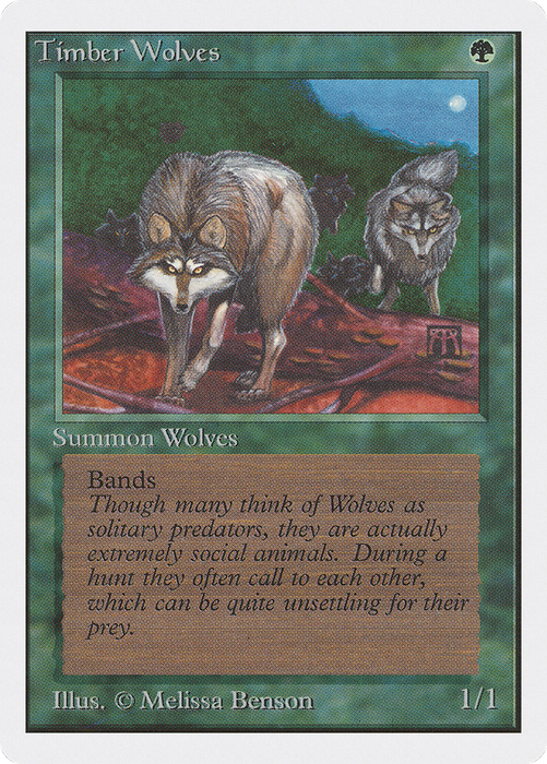 Timber Wolves (2ED-220) - rare