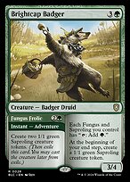 Brightcap Badger // Fungus Frolic (BLC-028) - rare