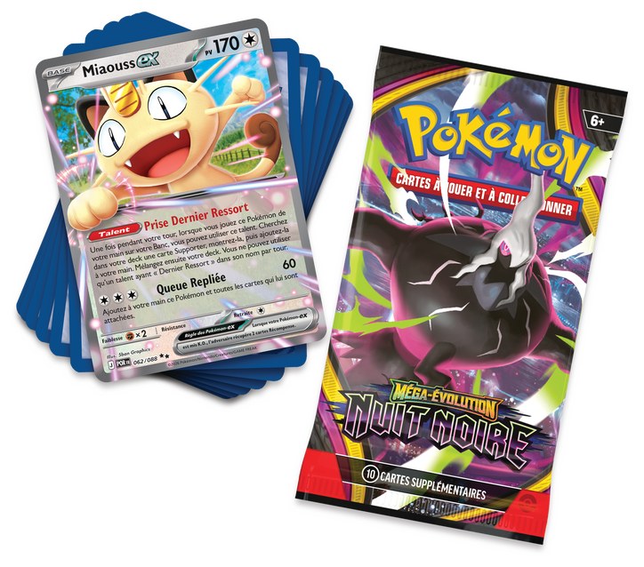 POKEMON FRENCH DECK CRAFTER’S COLLECTION (12)