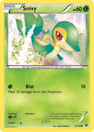 Snivy (005/124) - XFC  - Common - Reverse Holofoil