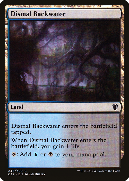 Dismal Backwater (C17-246) - common