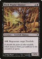 Black Poplar Shaman (LRW-099) - common