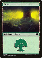 Forest (C15-341) - common