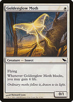 Goldenglow Moth (SHM-006) - common