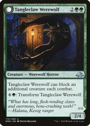 Tangleclaw Werewolf // Fibrous Entangler (EMN-174) - uncommon: (mooneldrazidfc) - Foil