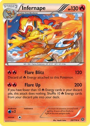 Infernape (020/114) - XSS  - Holo Rare - Reverse Holofoil