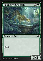 Pouncing Cheetah (AKR-207) - common