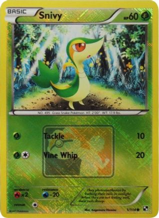 Snivy (001/114) - LCC  - Promo - Reverse Holofoil