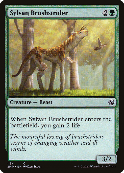 Sylvan Brushstrider (JMP-434) - common
