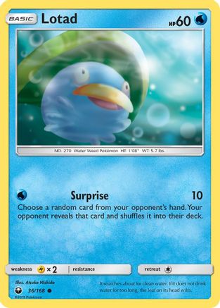 Lotad (036/168) - SCS  - Common