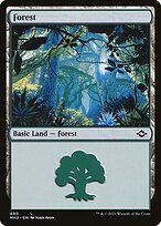 Forest (MH2-490) - common