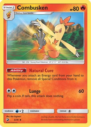 Combusken (005/70) - DM  - Uncommon - Reverse Holofoil