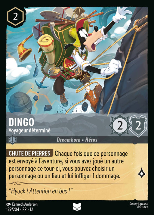 Dingo - Voyageur déterminé