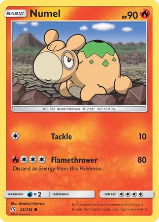 Numel (023/236) - SUM  - Common