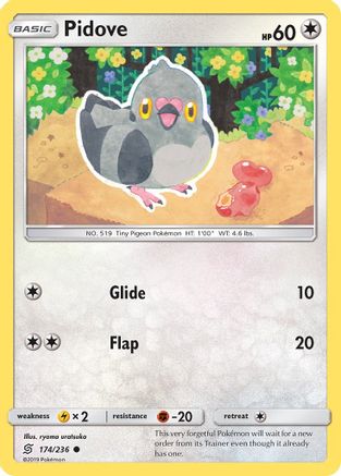 Pidove (174/236) - SUM  - Common
