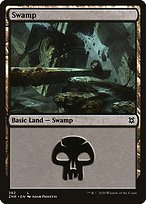 Swamp (ZNR-382) - common