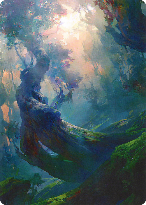 Forest // Forest (AZNR-021) - common (Borderless)