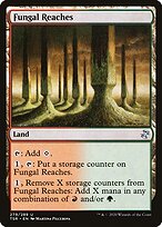 Fungal Reaches (TSR-279) - uncommon - Foil