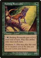 Basking Rootwalla (TOR-121) - common