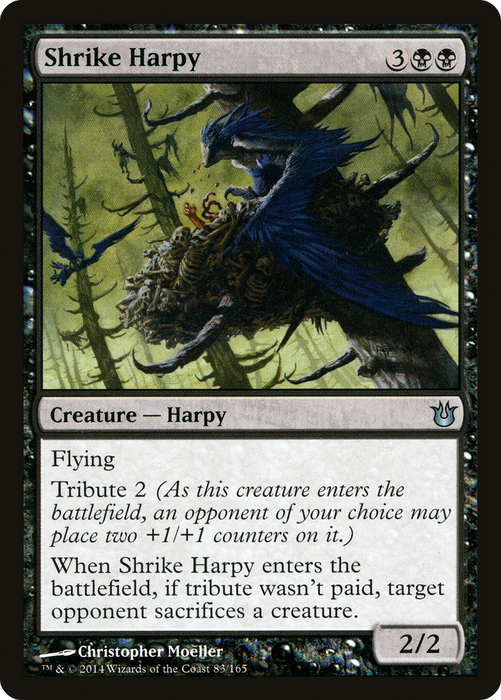 Shrike Harpy (BNG-083) - uncommon