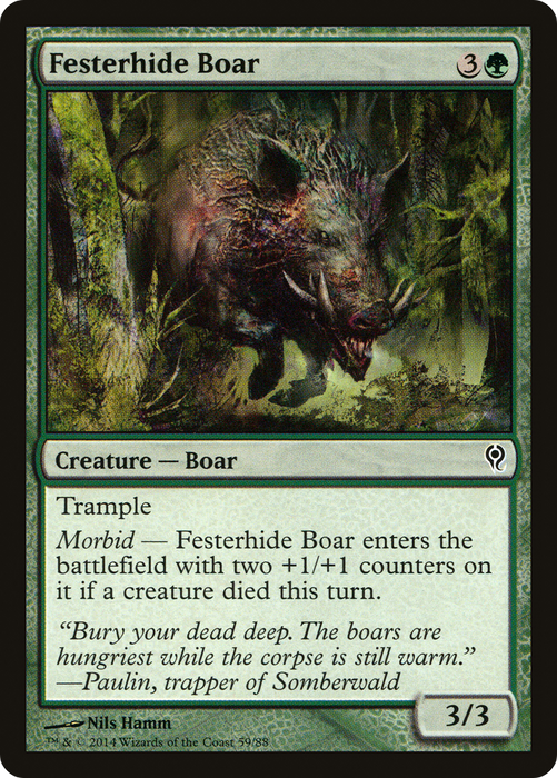Festerhide Boar (DDM-059) - common