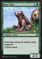 Bear Cub (J21-546) - common