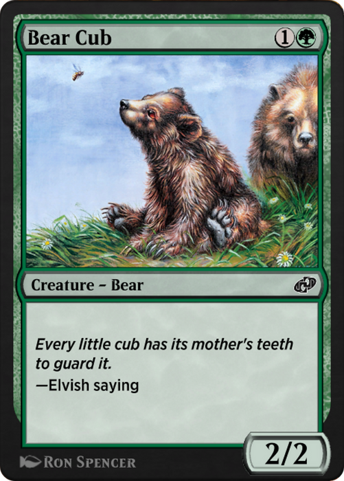Bear Cub (J21-546) - common
