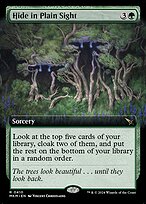 Hide in Plain Sight (MKM-410) - rare: (Extended Art) - Foil
