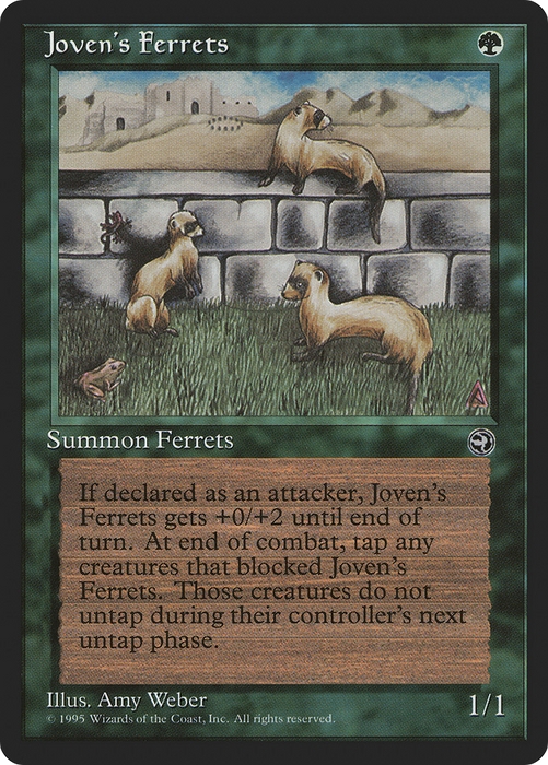 Joven's Ferrets (HML-089) - common