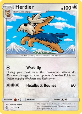 Herdier (175) - SCE  - Uncommon