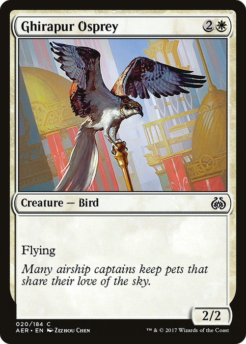 Ghirapur Osprey (AER-020) - common