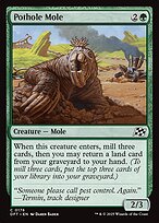 Pothole Mole (DFT-176) - common