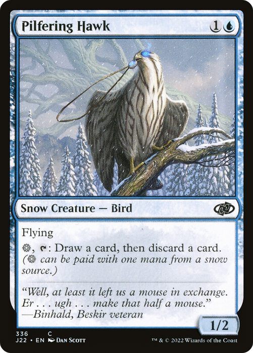 Pilfering Hawk (J22-336) - common: (snow)