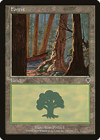 Forest (INV-348) - common