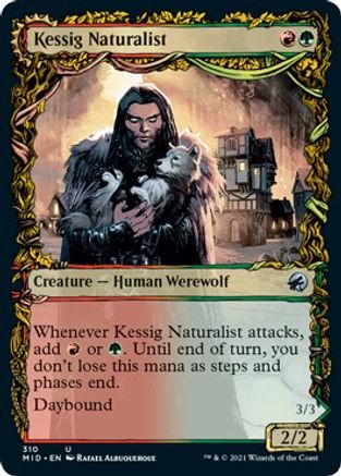 Kessig Naturalist // Lord of the Ulvenwald (MID-310) - uncommon: (Showcase, Double Faced Transform) - Foil