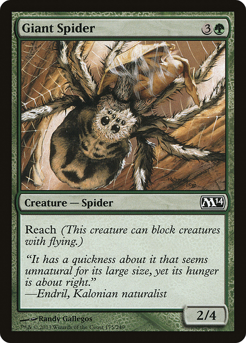 Giant Spider (M14-175) - common - Foil