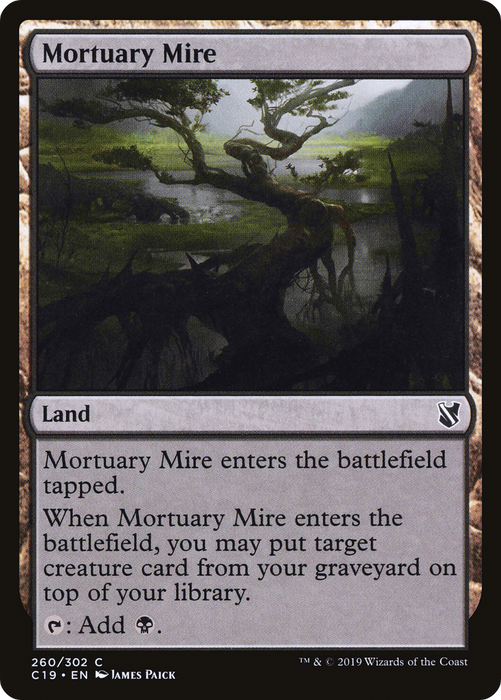 Mortuary Mire (C19-260) - common